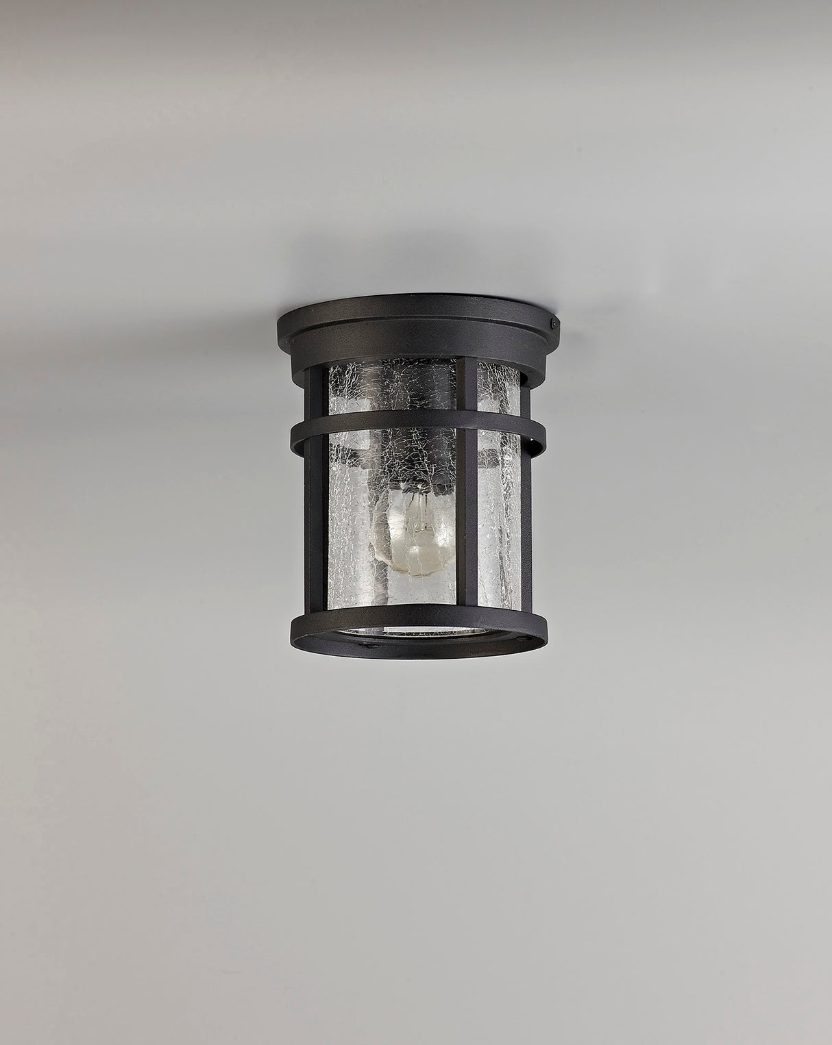 ELN9137 Elnath Ceiling 1 Light IP54 Indoor/Outdoor in a Black/Clear Finish
