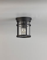 ELN9137 Elnath Ceiling 1 Light IP54 Indoor/Outdoor in a Black/Clear Finish