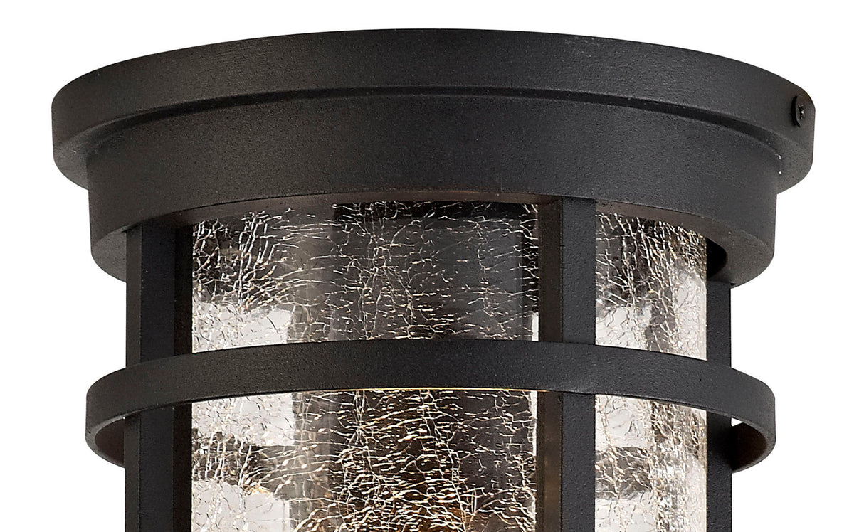 ELN9137 Elnath Ceiling 1 Light IP54 Indoor/Outdoor in a Black/Clear Finish