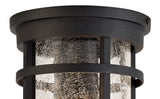 ELN9137 Elnath Ceiling 1 Light IP54 Indoor/Outdoor in a Black/Clear Finish