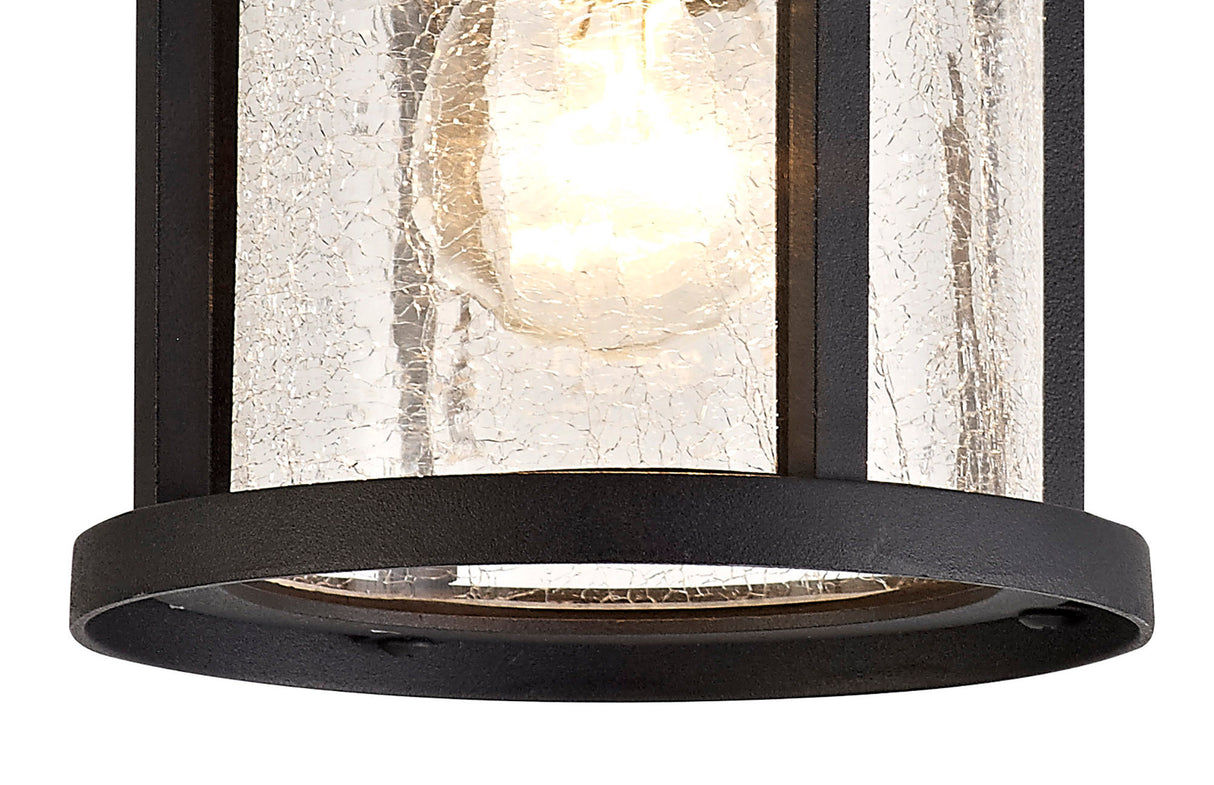 ELN9137 Elnath Ceiling 1 Light IP54 Indoor/Outdoor in a Black/Clear Finish