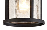 ELN9137 Elnath Ceiling 1 Light IP54 Indoor/Outdoor in a Black/Clear Finish