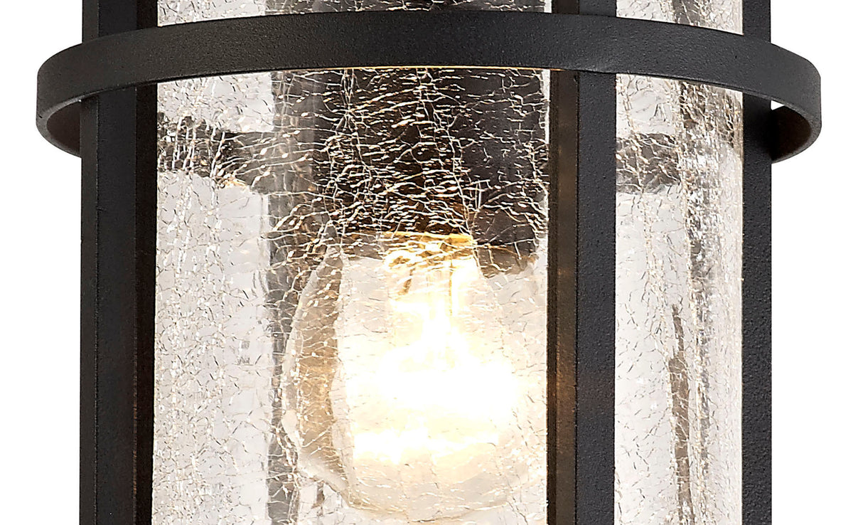 ELN9137 Elnath Ceiling 1 Light IP54 Indoor/Outdoor in a Black/Clear Finish