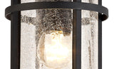 ELN9137 Elnath Ceiling 1 Light IP54 Indoor/Outdoor in a Black/Clear Finish